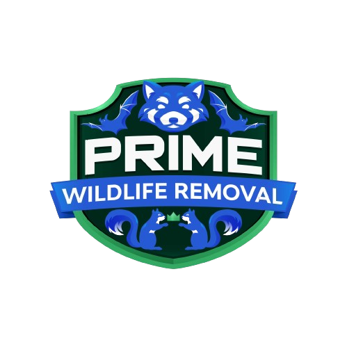 Wildlife Removal Hendricks County